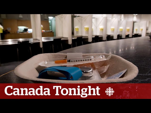 Link between trauma and addiction is a 'scientific fact': doctor | Canada Tonight