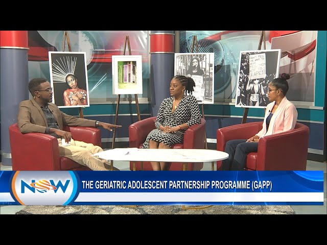 ⁣The Geriatric Adolescent Partnership Programme (GAPP)