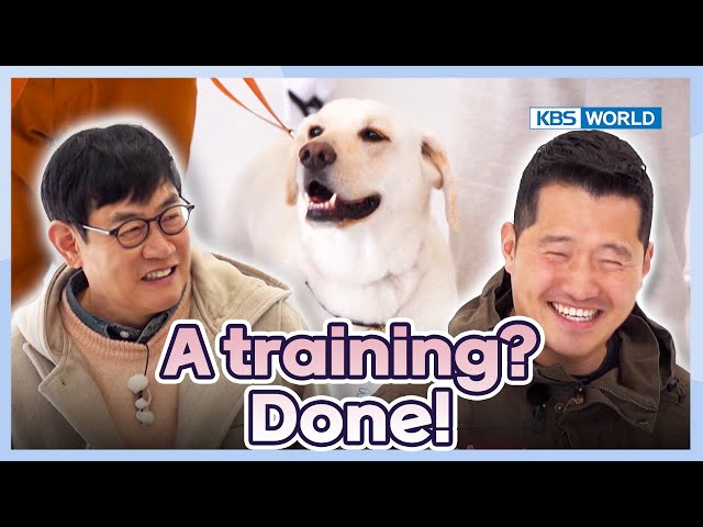 That would be perfect [Dogs Are Incredible : EP.216-3] | KBS WORLD TV 240423