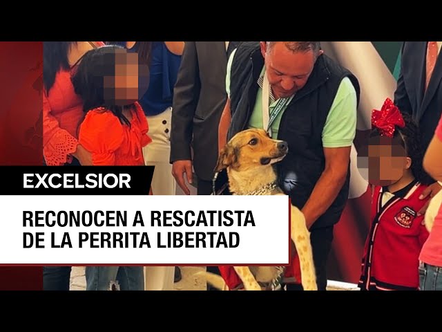 Reconocen en Guanajuato a hombre que rescató a perrita arrojada a un pozo