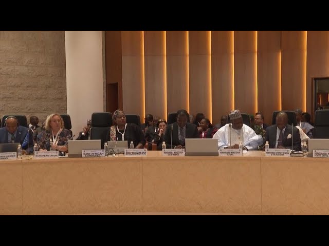 Des chefs d'État réunis à Abuja pour un sommet sur le contre-terrorisme • FRANCE 24