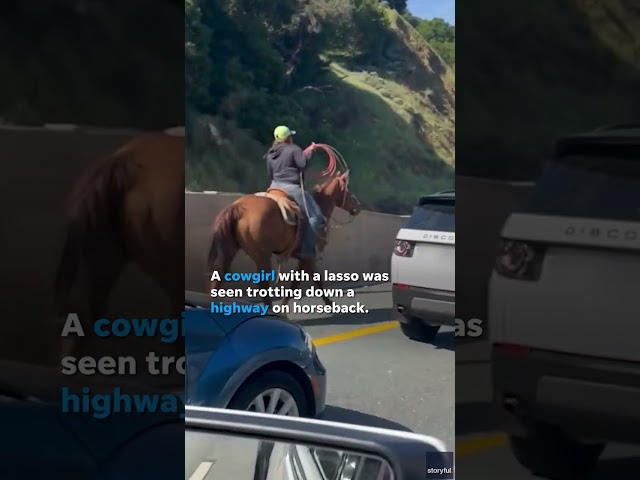 ⁣Cowgirl gallops down highway on horseback with lasso in hand #Shorts