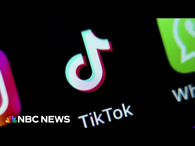⁣Senate poised to vote on potential TikTok ban