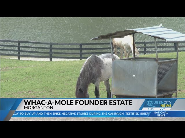 Inventors of Whac-A-Mole selling estate in Morganton