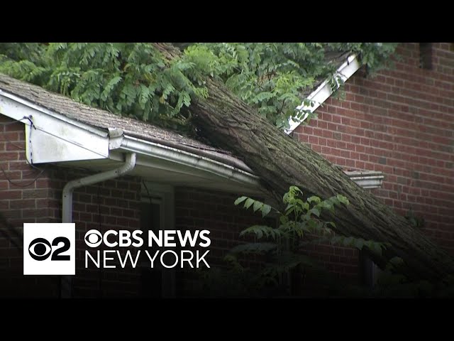 ⁣How you can prepare your home, property for severe weather