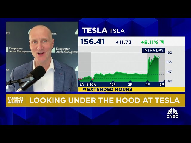 ⁣Tesla will likely fade over next two weeks, will rebound closer to 2025: Deepwater's Gene Munst