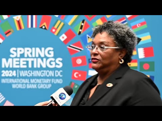 ⁣PM Mottley addresses challenge of accessing reinsurance