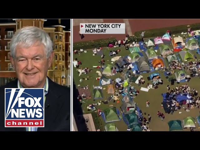 ⁣Newt Gingrich: There must be 'accountability' for colleges rife with anti-Israel chaos