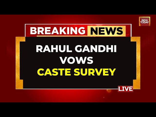 ⁣LIVE | Rahul Gandhi's First Reaction On Manifesto War | Rahul Accuses Pm Of Bid To Divide Count