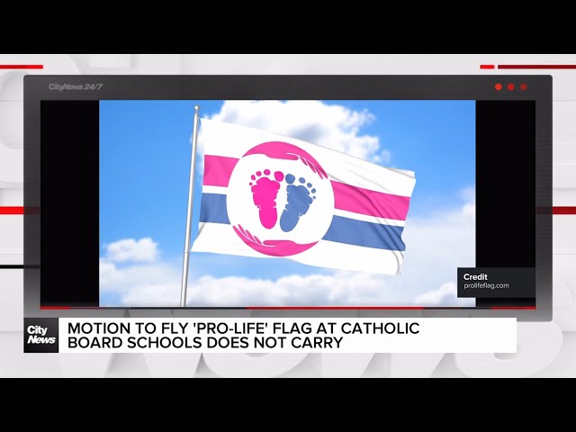 ⁣TCDSB votes against raising anti-abortion flag