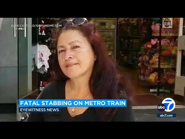 ⁣Fatal stabbing on Metro train: Woman identified as mother of 3