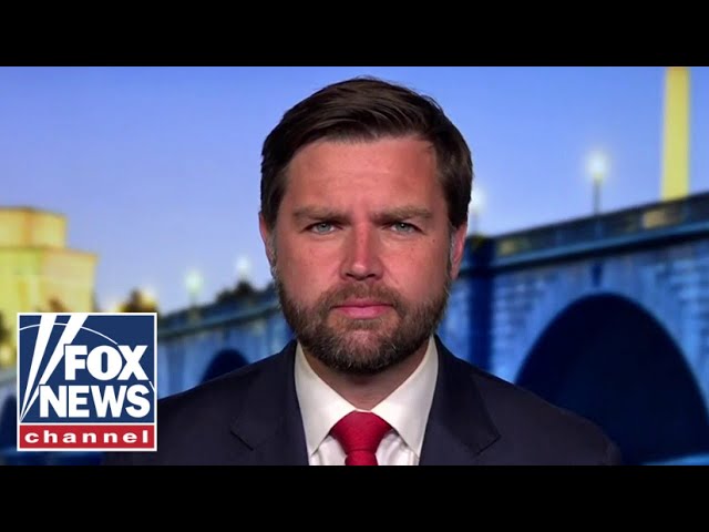 ⁣'The Democrats have boxed themselves into a hole': JD Vance