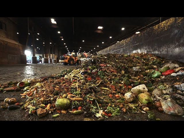 ⁣19 % der Lebensmittel landen im Müll - UNO sagt Verschwendung den Kampf an