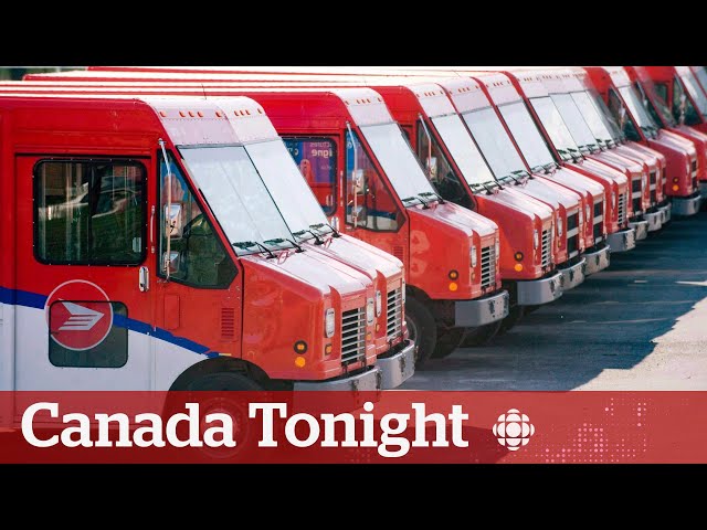 Should Canada Post collect guns for buyback program? | Canada Tonight