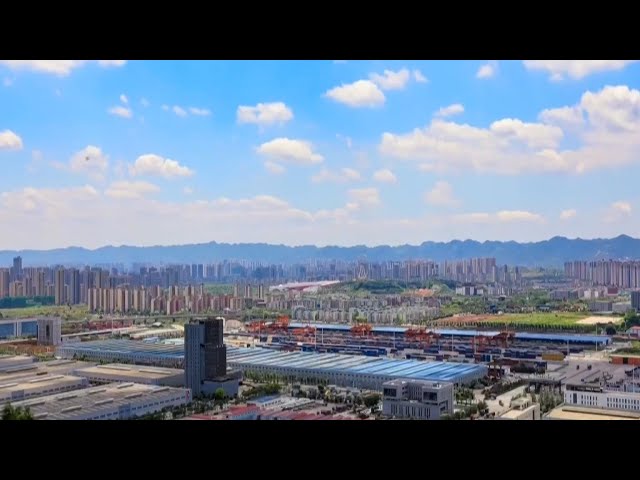 Xi inspects int'l logistics hub park in China's Chongqing