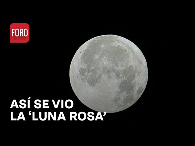 ⁣‘Luna rosa’ iluminó la Ciudad de México - Las Noticias