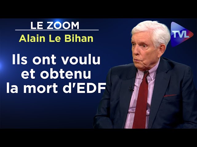 Faillite d'EDF : une trahison bruxello-allemande - Le Zoom - Alain Le Bihan - TVL