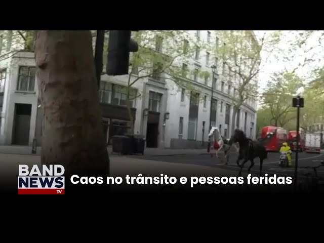 ⁣Exército recupera cinco cavalos que fugiram em Londres | BandNews TV