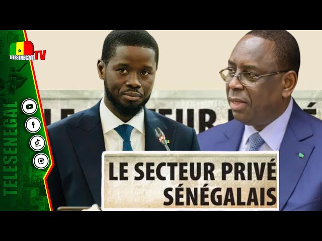 ⁣"Président Diomaye Nangoul na secteur privé bi liko Macky Sall bagnal...am rapport biniou ko di