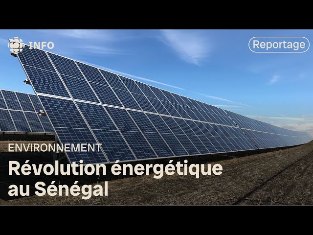 ⁣Le virage vert du Sénégal