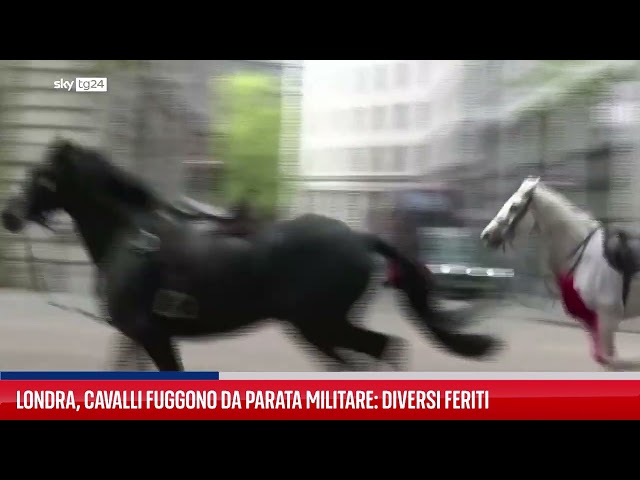 ⁣Londra, cavalli fuggono da parata militare: diversi feriti
