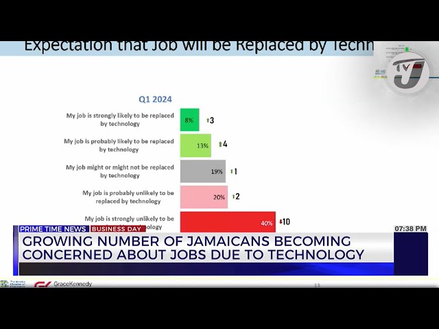 ⁣Growing Number of Jamaicans Becoming Concerned About Jobs Due to Technology | TVJ Business Day