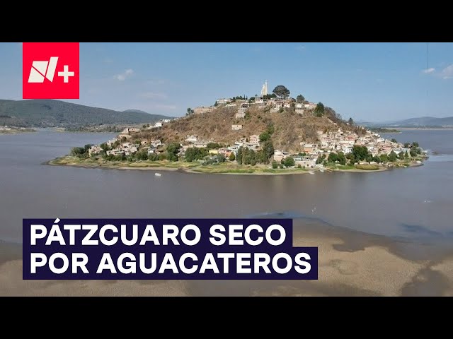 ⁣Extracción ilegal de agua tiene seco al lago de Pátzcuaro - N+