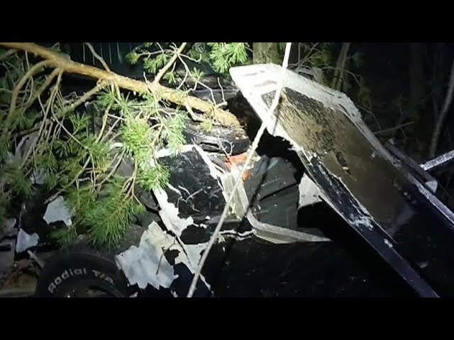 ⁣Corvette totalled after impaired driver crashes into forest in Tiny, Ont.