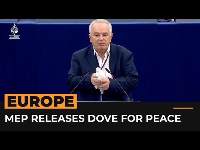 ⁣Dove release as gesture of peace in European Parliament met with dismay | #AJshorts