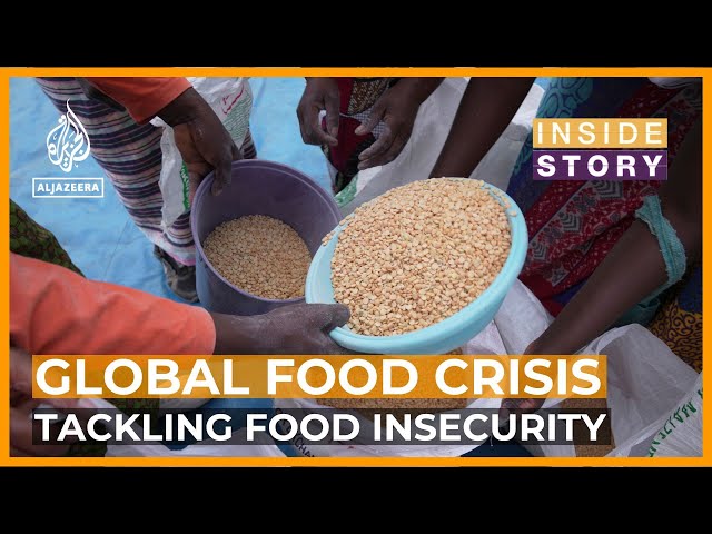 ⁣How can we reduce global food insecurity? | Inside Story
