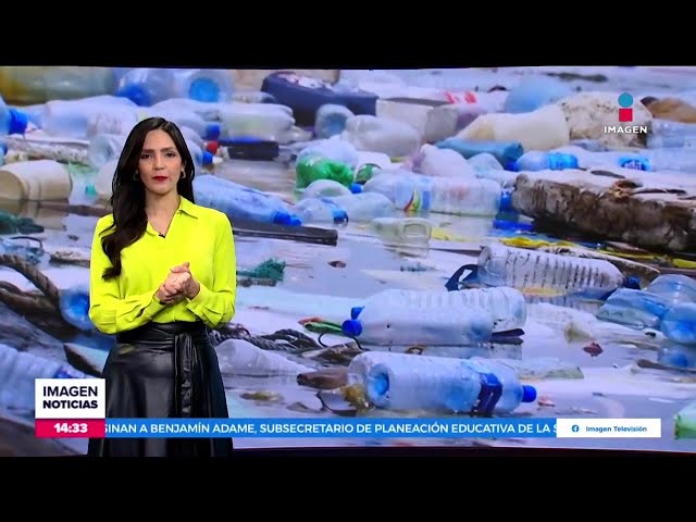 ⁣Buscan elaborar un tratado global para reducir la contaminación por plásticos | Crystal Mendivil