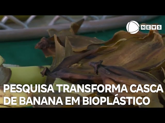 Pesquisa transforma casca de banana em bioplástico