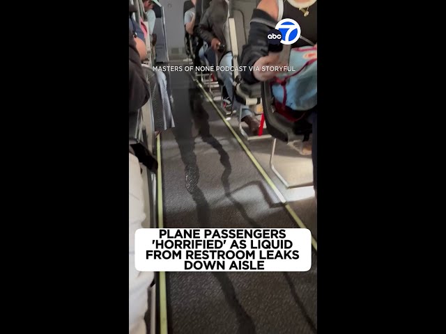 ⁣Plane passengers 'horrified' as liquid from restroom leaks down isle