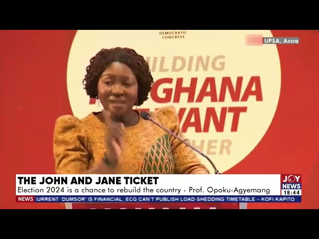 Never have we experienced this level of greed and sheer dishonesty - Prof Naana Jane Opoku-Agyemang