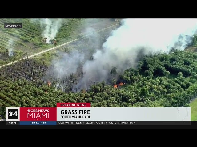⁣Grass fire burning along Turnpike in SW Miami-Dade