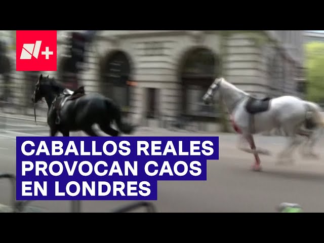 Caballos de la realeza provocan caos en el centro de Londres - N+ #Shorts