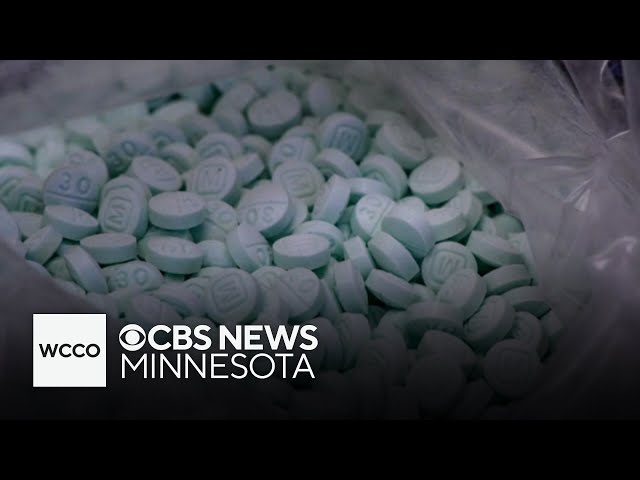 ⁣Authorities stress dangers of fentanyl as overdose crisis continues