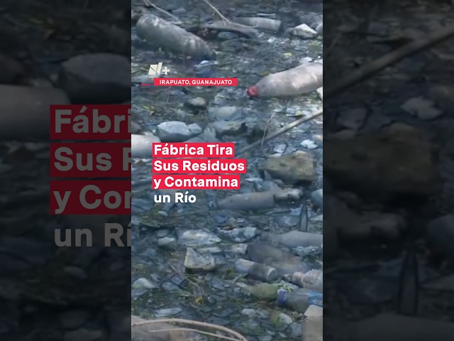 Fábrica desecha sus residuos y contamina el agua en un río en Irapuato - N+ #Shorts