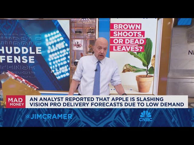 ⁣We're seeing 'faux brown shoots' around Apple, says Jim Cramer