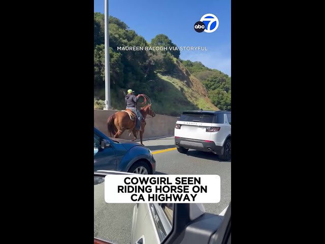 ⁣Cowgirl seen riding horse on CA highway