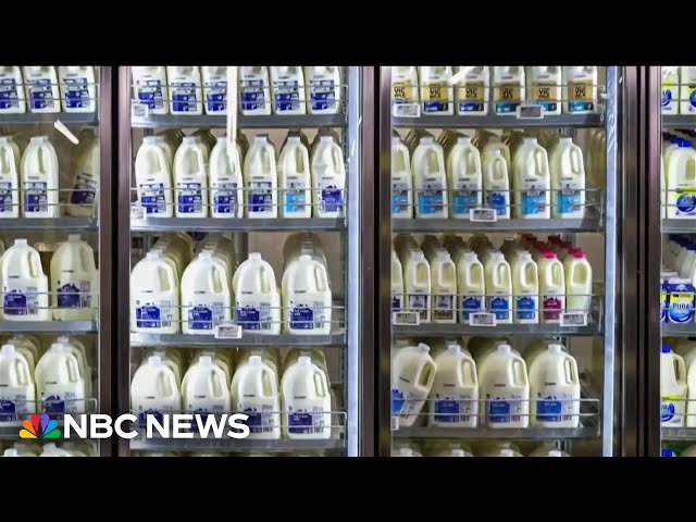 ⁣FDA testing dairy cows for bird flu after fragments found in pasteurized milk