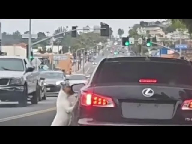 ⁣Woman rescues dog after it was abandoned by driver in Long Beach