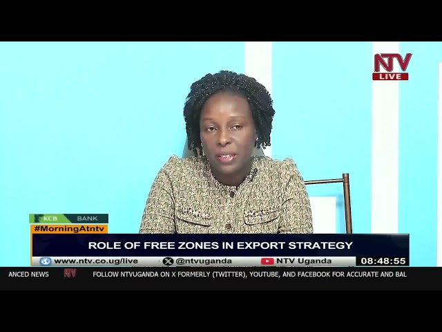 Business Update: Role of free zones in export strategy