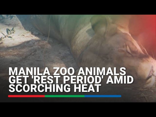 ⁣Manila Zoo animals get 'rest period' amid scorching heat