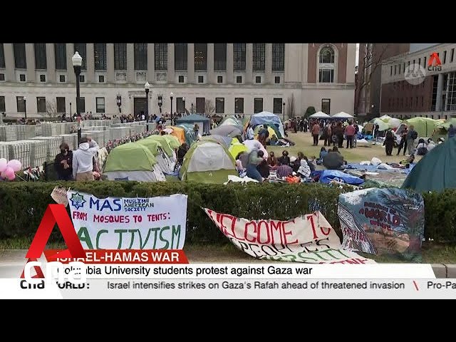 Over 100 arrested after pro-Palestine protests at US universities