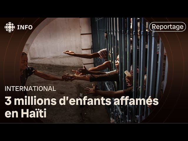 ⁣En Haïti, 3 millions d'enfants affamés par la violence des gangs