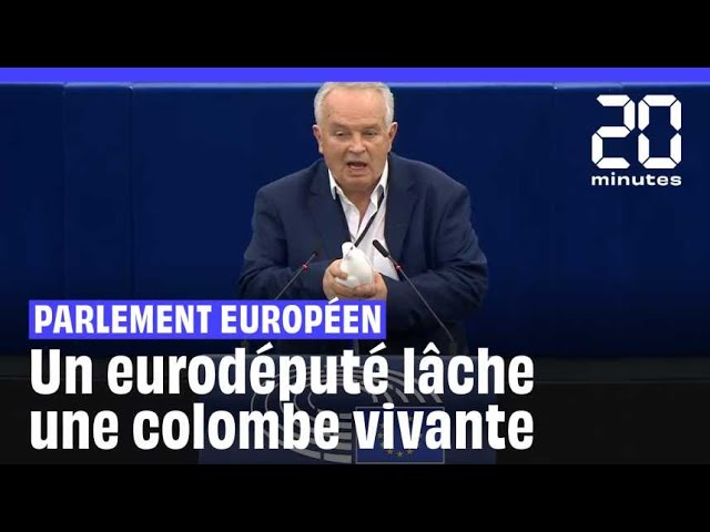 ⁣Bruxelles : un eurodéputé lâche une colombe vivante à l'intérieur du Parlement européen
