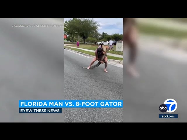 ⁣Florida man wrangles 8-foot alligator with his bare hands