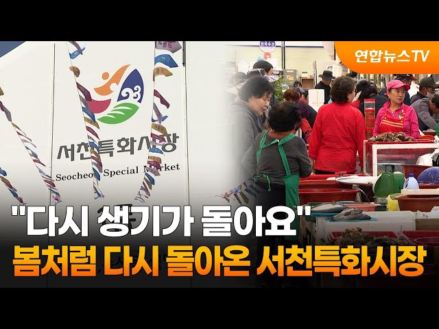 "다시 생기가 돌아요"…봄처럼 다시 돌아온 서천특화시장 / 연합뉴스TV (YonhapnewsTV)