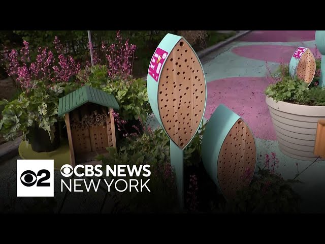 ⁣NYC building tiny homes for at-risk bee population